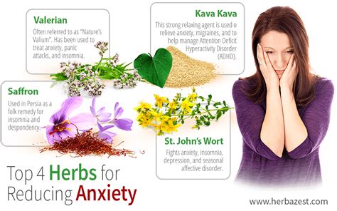 Top 4 Herbs For Reducing Anxiety HerbaZest