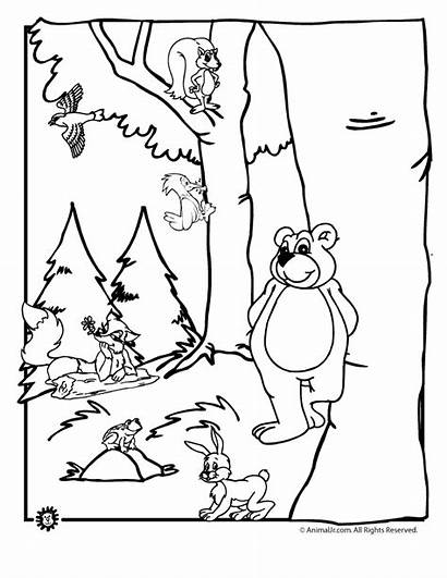 Forest Coloring Pages Printable Animal Animals Sheets
