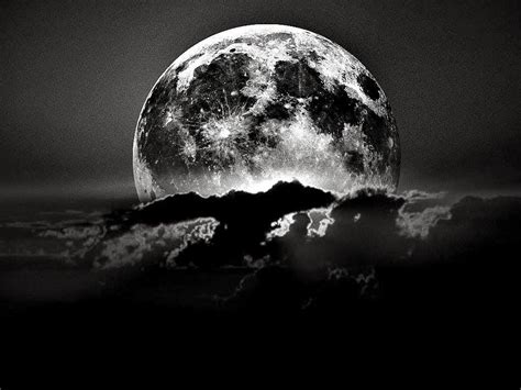 Moon Black And White Wallpapers Top Free Moon Black And White