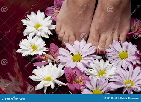 Feet In Water With Flowers Stock Photo Image Of Healthy 18142480