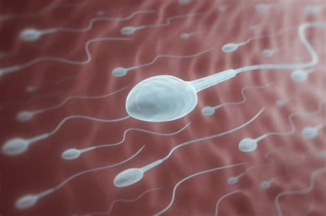 Is My Sperm Healthy How To Tell If Youre Fertile By Looking At Your