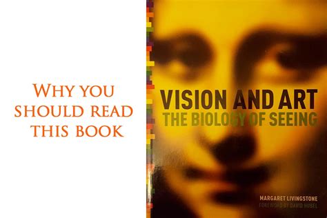 Why You Should Read This Book Vision And Art The Biology Of Seeing