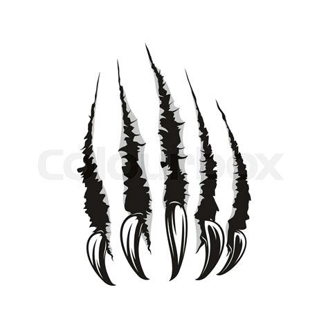 Animal Claws Scratches Trace Torn Slashes Texture Stock Vector
