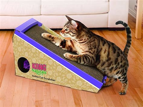 Best Cat Scratching Posts In 2020 Pioneer Pet Petfusion And More