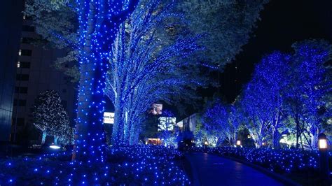 Blue Lights Decorated Tree Hd Christmas Wallpapers Hd Wallpapers Id