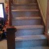 Check spelling or type a new query. particle board stair treads
