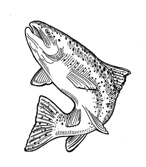 Adam weiss concentrates his practice on financial services litigation, representing banks and other financial institutions in matters involving prior to joining stradley ronon, adam practiced at a new york city law firm, where he represented corporate clients in a variety of commercial litigation matters. Trout | ily kerr | Flickr