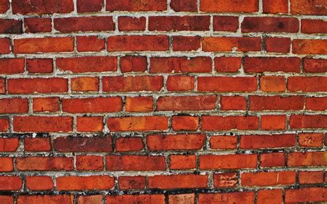 Free Download Brick Wall Wallpaper 2560x1600 More 2560x1600 For Your