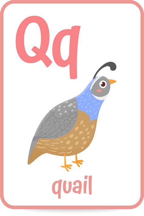 Sweets that start with q. Words That Start with the Letter Q • Kids Activities Blog