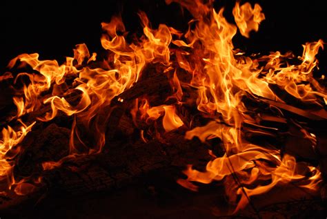 Free Images Wood Flame Fire Campfire Bonfire Waves Crackle Hot