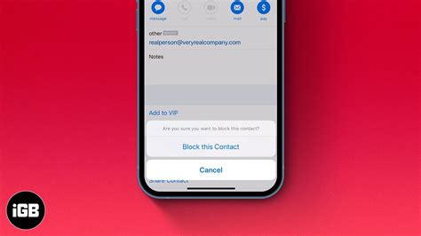 How To Block Unwanted Emails On Iphone Ipad And Mac Igeeksblog