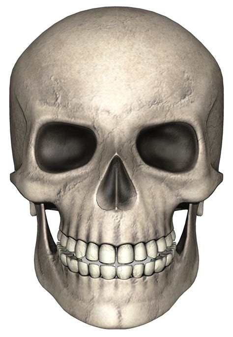 Head Skull Png Image Purepng Free Transparent Cc0 Png Image Library