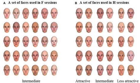 attractiveness scale test 🔥is every generation more attractive than the last a conje
