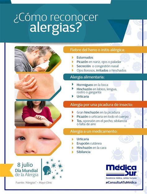 Reconocer Alergias Síntomas Y Tipos De Alergia Alergias Salud Y