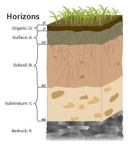 Bedrock Wikiwand