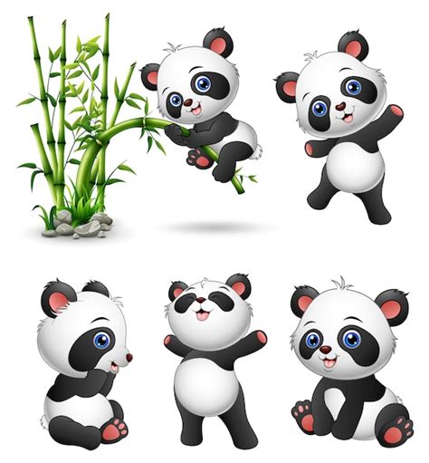 Cute Baby Pandas Collection Vector Premium Download