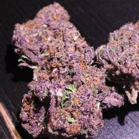 Flavour Gang Purple Urkle Feminized Cannabis Seeds Flavour Gang