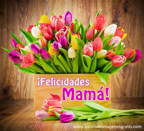 Lista 101 Foto Tarjetas De Felicitaciones A Las Madres Actualizar 092023