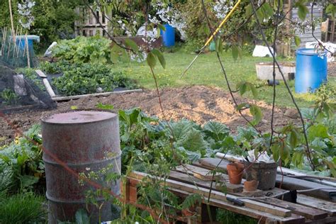 How to Start An Urban Garden [Step by Step Guide]