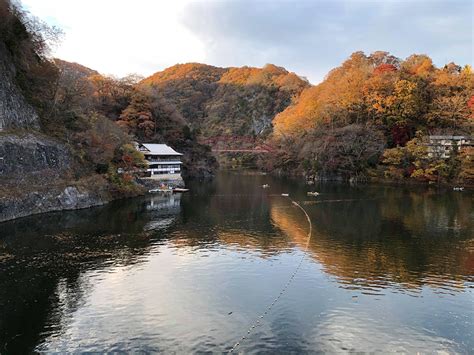 Momijigari Leaf Hunting In Hiroshima Prefecture Adventures After Sixty