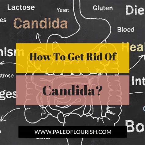 How To Get Rid Of Candida