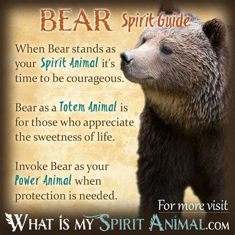 Bear Spirit Animal Totem Power Animal Symbolism Meaning 1200x1200