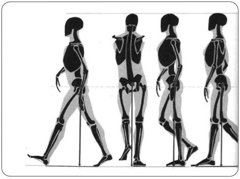 Dibujar El Movimiento Estudio Del Cuerpo Humano Anatomia Para