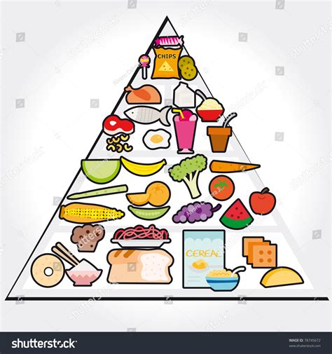 Food Guide Pyramid Vector Illustration 78745672 Shutterstock