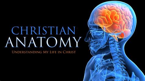 Spiritual Anatomy The Christians Anatomy Bellevue Baptist Church