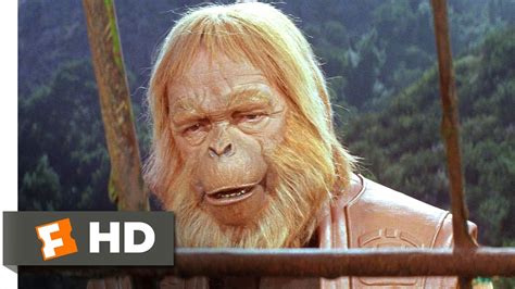 Rise Of The Planet Of The Apes Cornelius