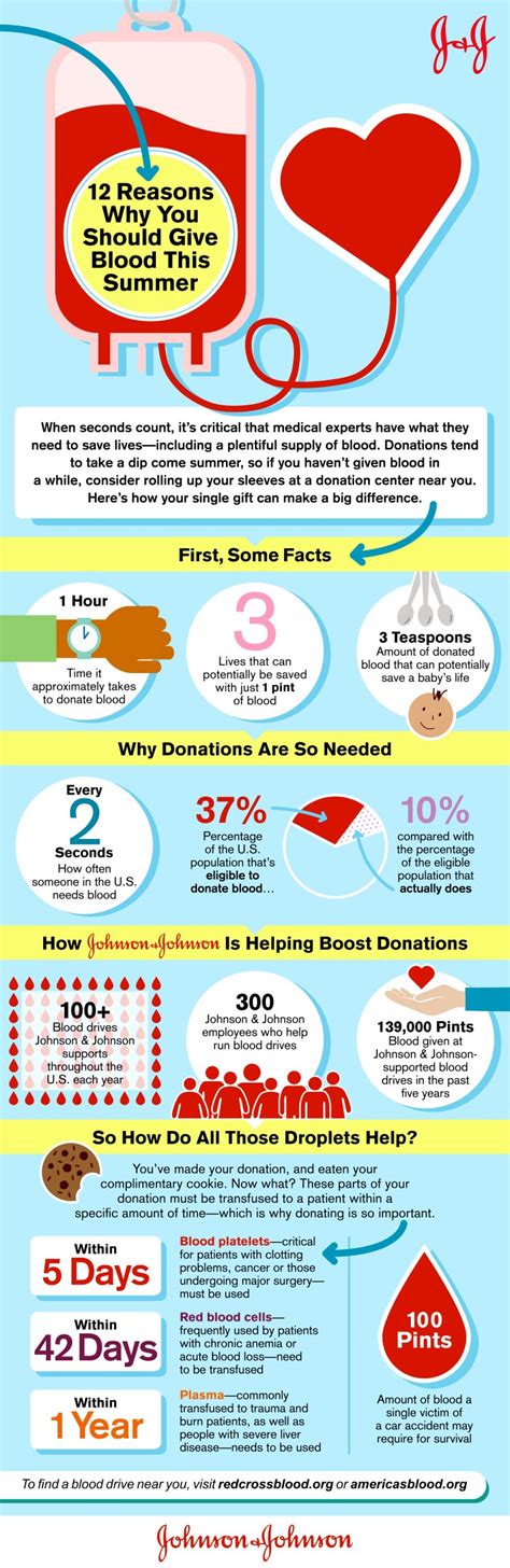 Infographic 12 Reasons Why Its Important To Donate Blood In The Summer