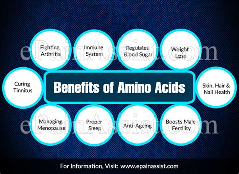 What Are Amino Acids What They Do And What Are Its Health Benefits