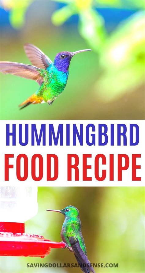 Opinions differ on the importance of boiling the hummingbird food mixture. Hummingbird Food Recipe - NO TOXIC DYES | Hummingbird ...