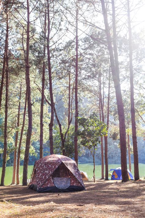Tents Of Traveler In Camping Site Near Lake Stock Photo Image Of Park