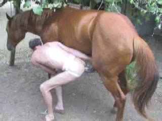 Анальный секс худого гея с конем