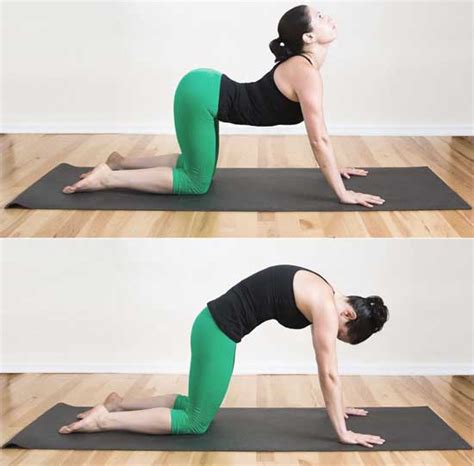 Most women will endure back pains at some point in their pregnancy, but gently rocking between cat and cow poses will work to warm up the spine and stretch the body, hopefully getting you back on track. Easy And Effective Yoga Poses For Curing Back Pain - Home ...