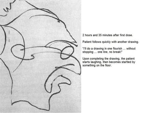 Researcher Tests The Effects Of Lsd On An Artist While He Draws 9 Portraits