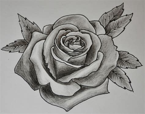 Tattoo Drawing Rose Rose Drawing Tattoo Rose Tattoo Design Rose Tattoos