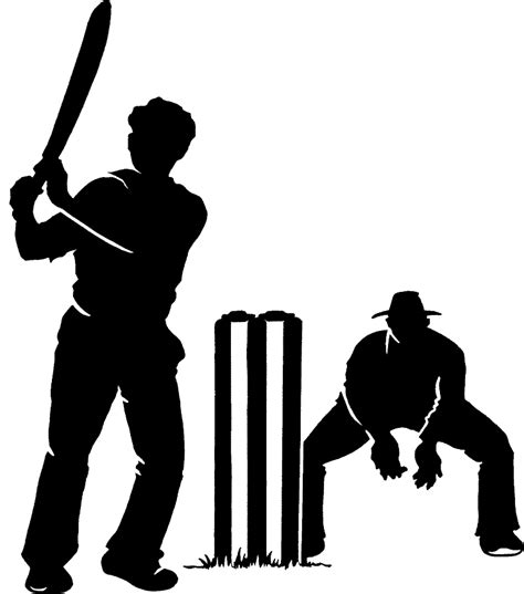 Cricket Png Transparent Image Download Size 767x869px