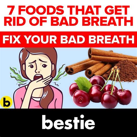 10 Home Remedies To Cure Bad Breath Fast 10 Home Remedies To Cure Bad