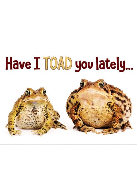 Have I “toad” You Greeting Card Curious Critters