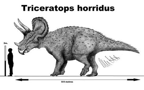 Triceratops Horridus By Teratophoneus Prehistoric Animals
