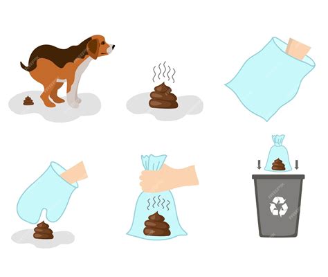 Premium Vector Pooping Dog Infographic Poster About Hygiene Animal