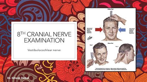 8th Cranial Nerve Examination Youtube