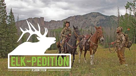 Elk Pedition Our First Diy Colorado Public Land Elk Hunt Youtube