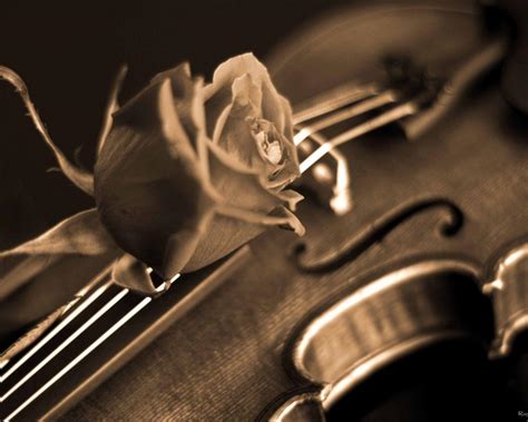 Violin Wallpapers Wallpaper Cave