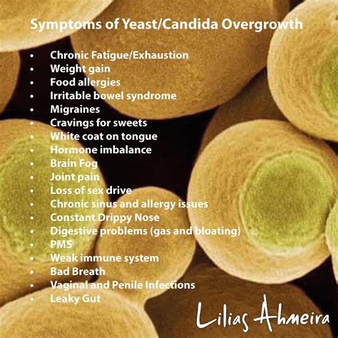 Symptoms Of Yeast Candida Overgrowth Lilias Ahmeira Holistic