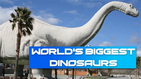 Titanosaurs Top 15 Biggest Dinosaurs Of The World