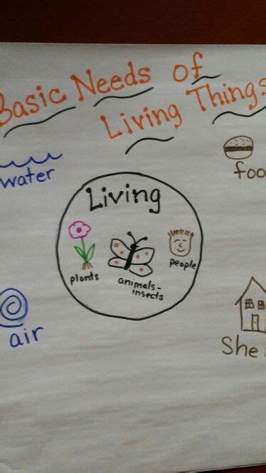 Basic Needs Of Living Things Anchor Chart At Workshop