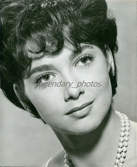 1962 Beautiful Close Up Of Actress Suzanne Pleshette Original News Service Photo Ebay